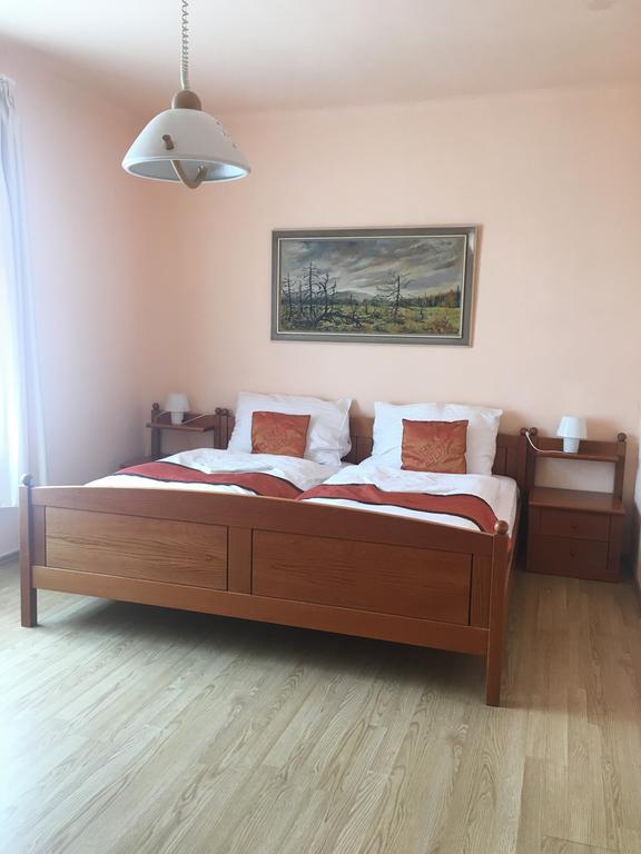 Pension Vidhous 1 Františkovy Lázně Exterior foto